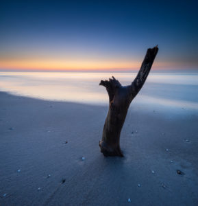 Ast am Sandstrand bei Abendrot, Ostsee, Halbinsel Fischland-Darß-Zingst, Nationalpark Vorpommersche Boddenlandschaft, Mecklenburg-Vorpommern, Deutschland Ast am Sandstrand bei Abendrot, Ostsee, Halbinsel Fischland-Darß-Zingst, Nationalpark Vorpommersche Boddenlandschaft, Mecklenburg-Vorpommern, Deutschland